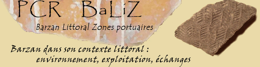 logo_barzan